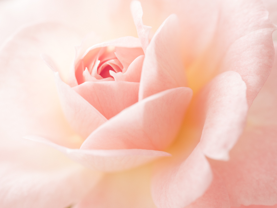 blooming