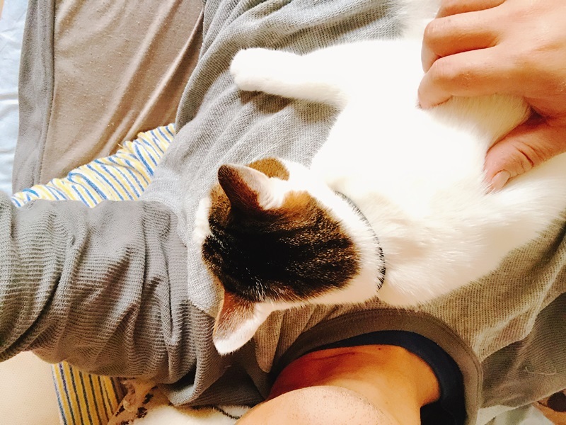 朝まで引っ付いてます。