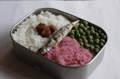 トトロの弁当