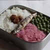 トトロの弁当