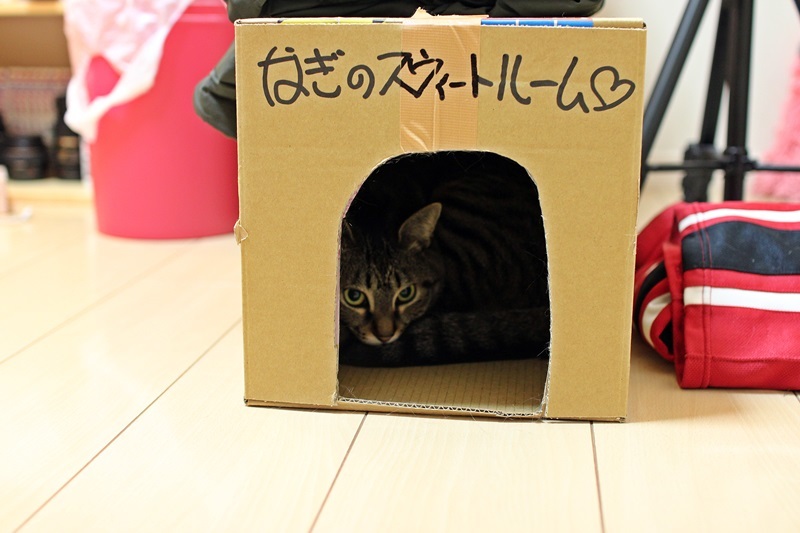 お前は姫だ！！（笑）
