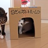 誰が来たの？