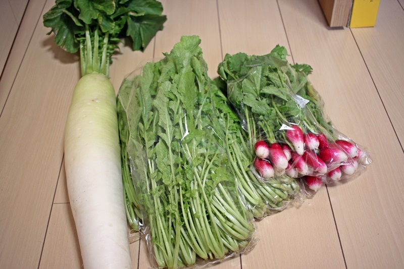 野菜直売所で買ったもの