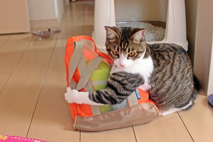 弁当かえして！！