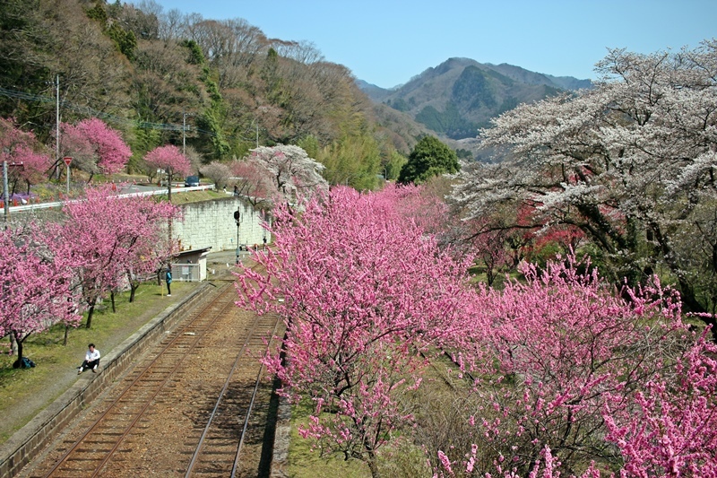 わたらせ渓谷鉄道　神戸駅③