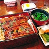 鰻