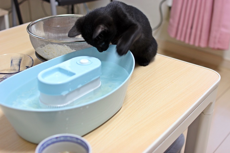 ダメだ！