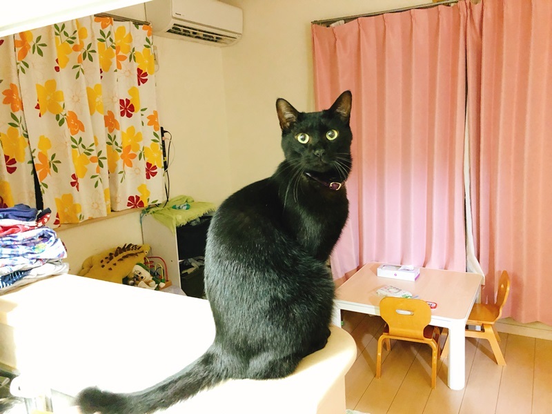 天
