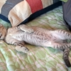 くり⑤