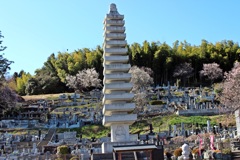 伯父が建てた塔