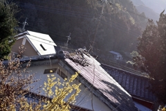 大震災の翌日