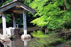 赤城神社