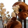 桜とE.T.