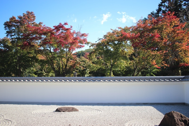 紅葉まつり