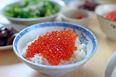 イクラ丼