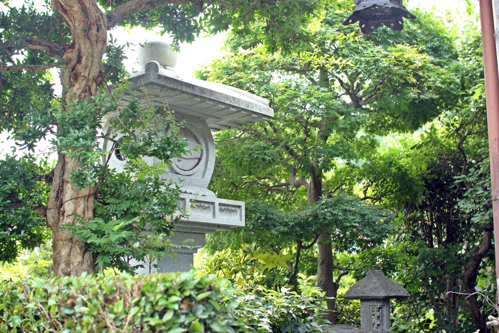 初夏の庭