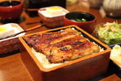うなぎ①