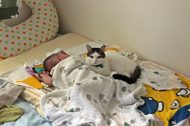 あたちの子よ！！！