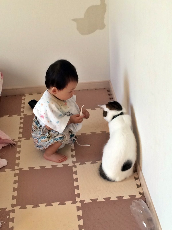 親分と子分②