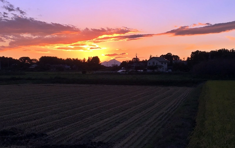 田んぼの夕焼け