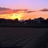 田んぼの夕焼け