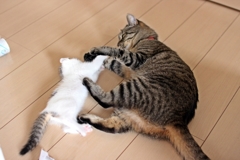 戦うナギ