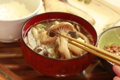 きのこうどん