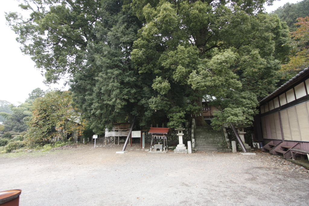 子供の頃、遊び場だった神社④