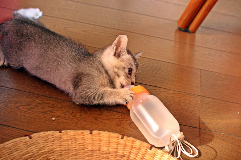 水飲めないの！