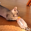 水飲めないの！