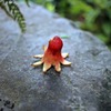 タコさんウインナー