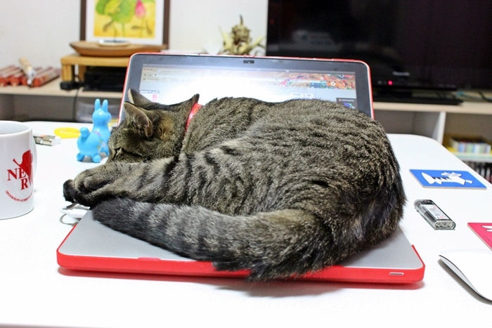 MacBook使いたいんだけど…