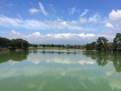 大好きな公園