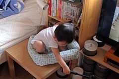 猫の寝床ですけど