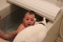 入浴監督