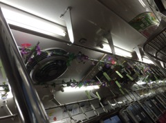 朝顔電車