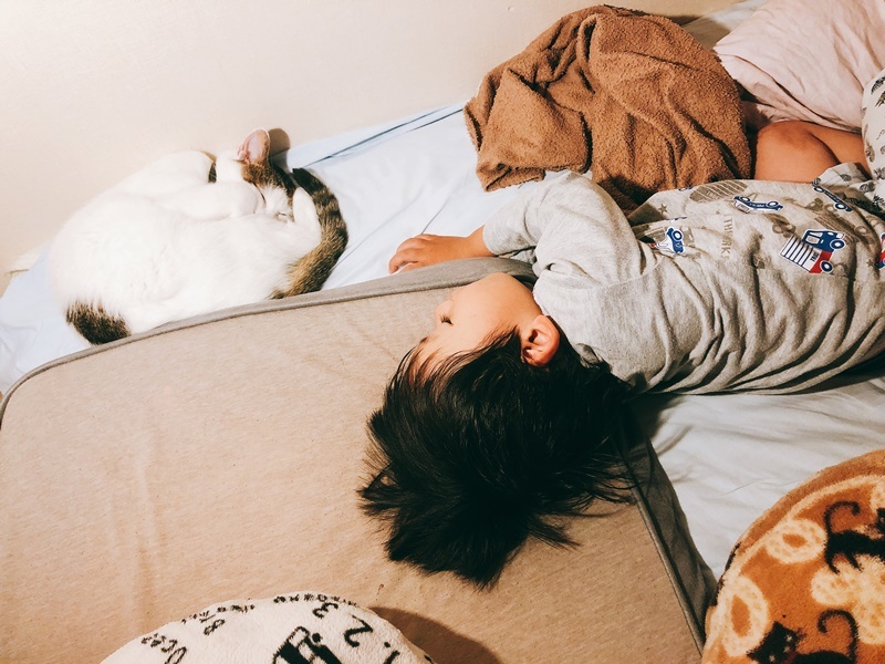 おやすみ