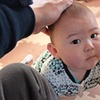 ゴマちゃん