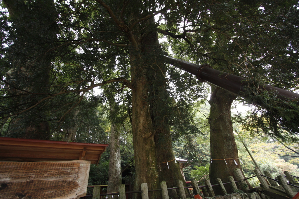 子供の頃、遊び場だった神社⑤