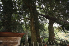子供の頃、遊び場だった神社⑤