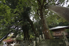 子供の頃、遊び場だった神社②