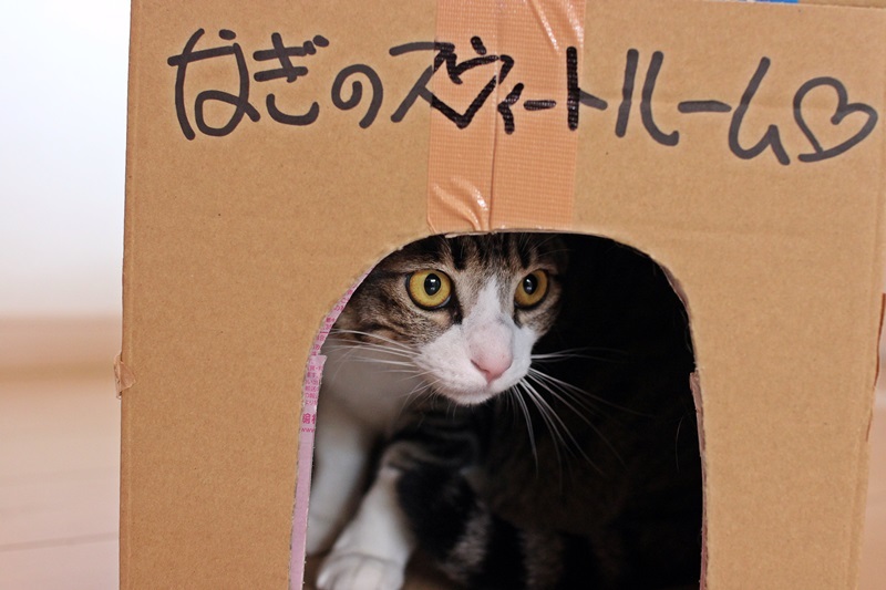 お前は小町！！（笑）