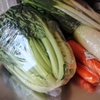 野菜直売所で買ったもの