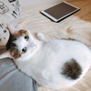 おはよ