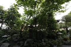 実家の庭