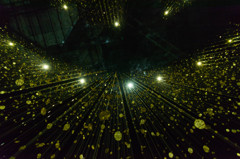 LIGHT is TIME　03