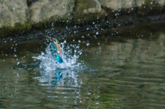 初水絡み