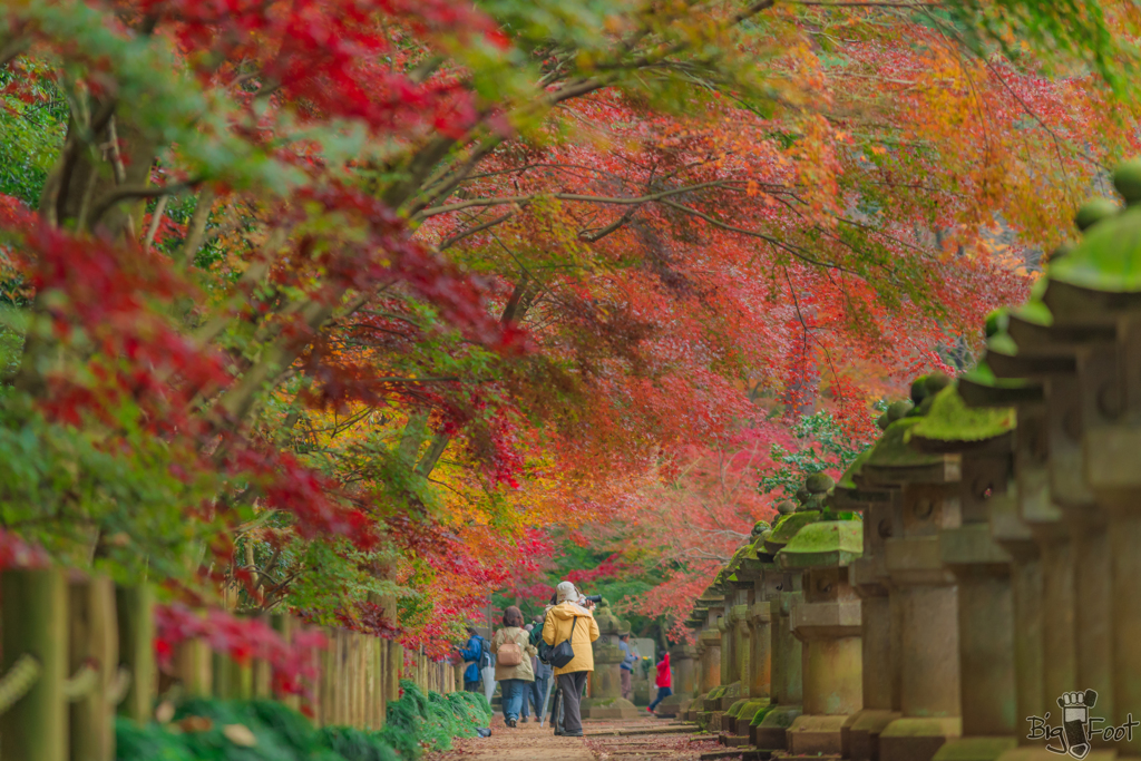 菩提寺