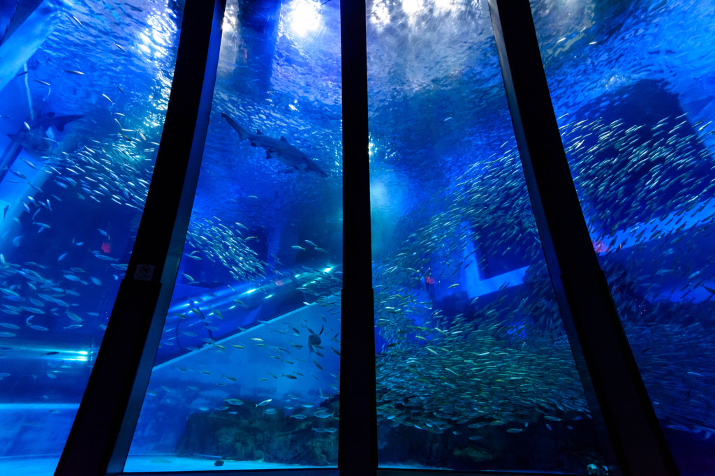 横浜八景島シーパラダイス