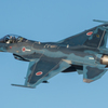 F-2背中